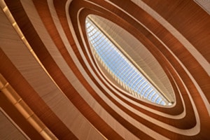 Zurich Eye