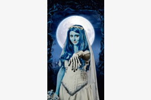 Emily - Corpse Bride Cosplay