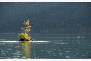 Insel
