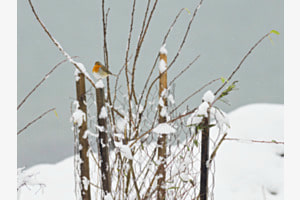 Zur Abwechslung mal Winter