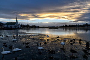 Reykjavík