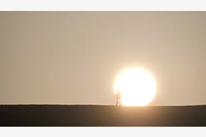 In die Sonne...