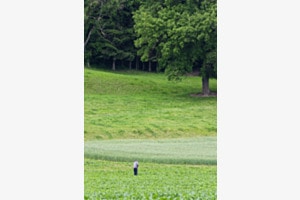 Stille bei der Arbeit