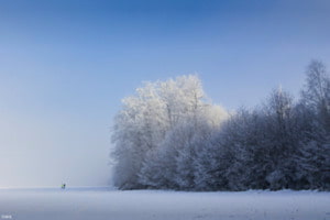 Jog-Snow