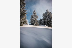 Winter Wunderland