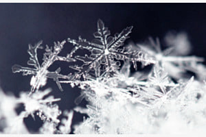 Schneestern