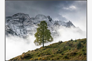Herbst