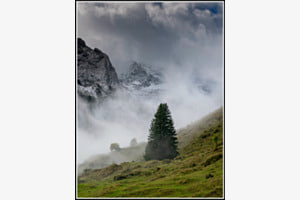 Nebel
