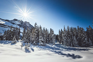 Winterwonderland Winterwonderland