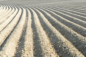 Spuren im Feld
