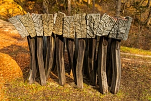 „Muster der Natur - Die Kunst schöpft ihre Muster aus der Natur” 