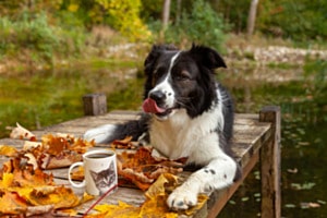 Genuss pur: Natur, Kaffee und Szanti