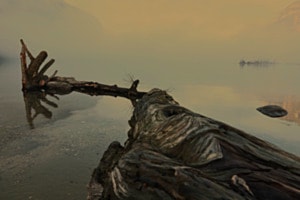 Baum im Nebel
