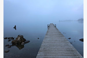 Der Steg