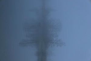Blauer Nachmittag