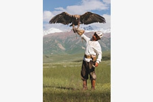 Eagle hunter 