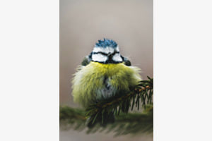 Klein aber Fein Klein aber Fein
