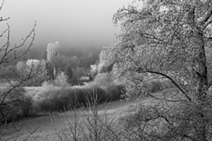 Sous la brume 2