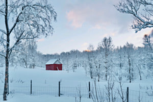 Paysage hivernal 