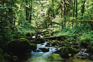 Gorges du Pichoux 
