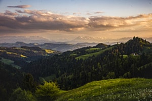Emmental