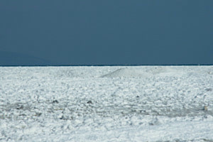 Lac de Neuchâtel - Grands froids