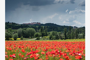 Provence