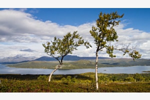 Lappland 