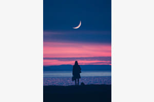 Dream on dreamer 