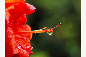 Nach dem Regen