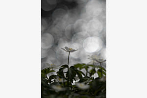 Licht und Schatten