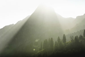 Lines of Light