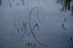 Linien im Wasser