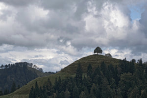 Lueg