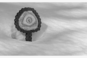 Magisches Auge