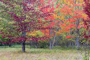 Maine