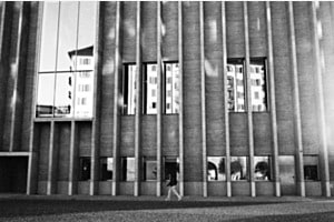 Lignes muséales