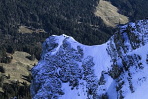 WEISS BERÜHRT GRÜN