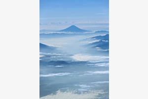 good morning Fuji san