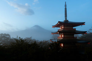 shy fuji