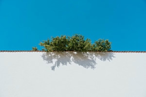 simplicity