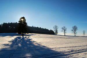 Moor