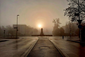 Morgennebel
