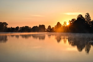Seerauch bei Sonnenaufgang