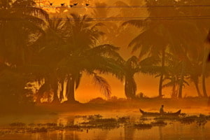 Morning mist