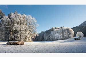 Wintermorgen