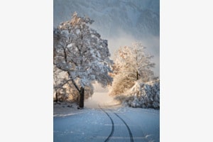 Wintersonne