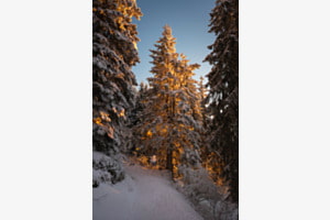 Abendglut Abendglut