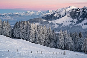 Winteridylle Winteridylle