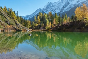 Lötschental